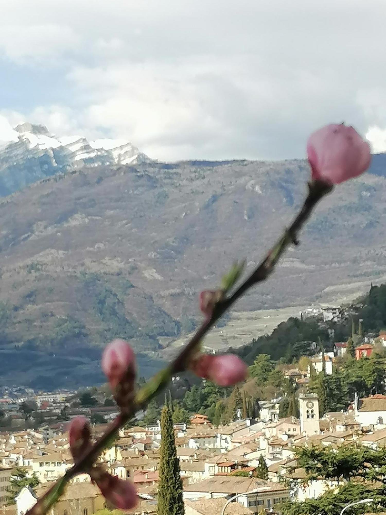 Dolce Dormire Rovereto  Exterior foto